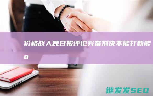 价格战人民日报评论兴奋剂决不能打新能源