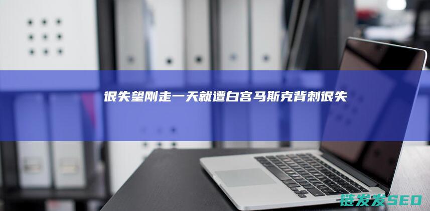 很失望刚走一天就遭白宫马斯克背刺很失