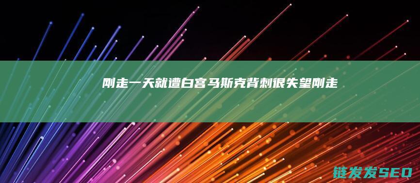 刚走一天就遭白宫马斯克背刺很失望刚走