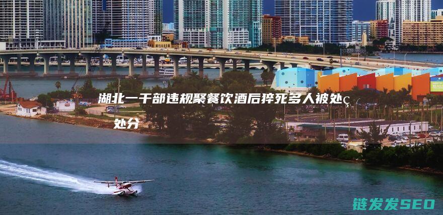 湖北一干部违规聚餐饮酒后猝死-多人被处理处分-官方通报 (湖北查处一批干部)