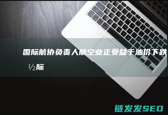 国际航协负责人航空业正受益于油价下跌国际
