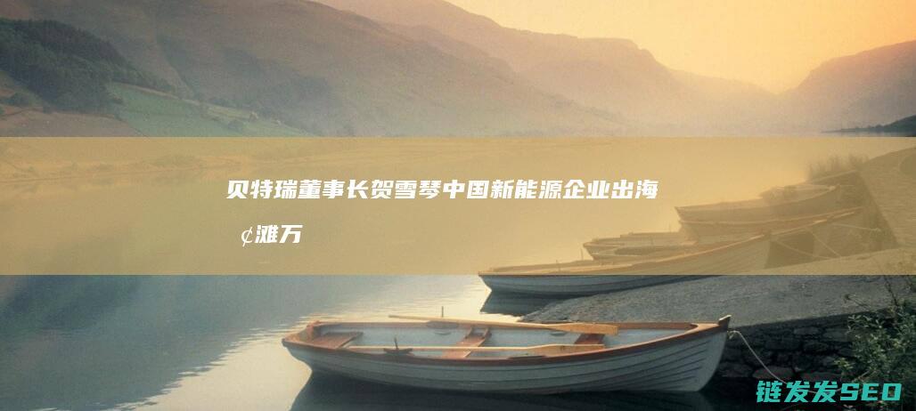 贝特瑞董事长贺雪琴新能源出海抢滩万