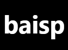 baisp∣PCB∣MES∣ERP佰世普信息技术(重庆)有限公司