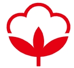 鲜花花束