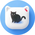 淮城一只猫