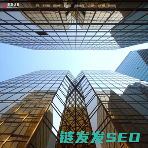麦高证券