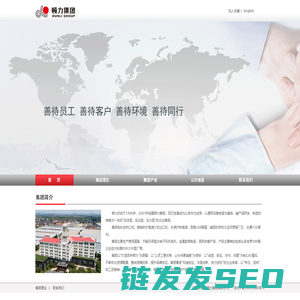 顿力集团有限公司
