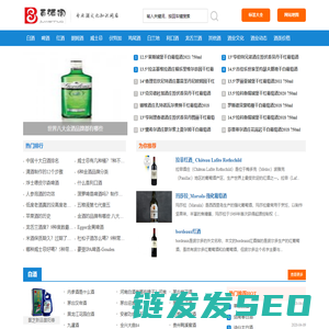 青岛鼎力新盛安防科技是专业致于网络远程监控系统
