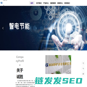 浙江诚胜电气科技有限公司