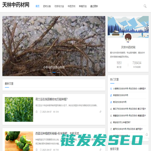 天林中药材网