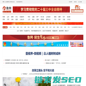 鲁网