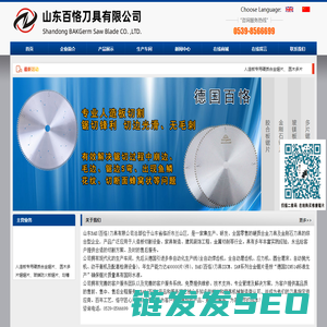 木工圆锯片,进口锯片厂家,合金锯片生产厂家,木工合金锯片,BAK(百恪)刀具有限公司