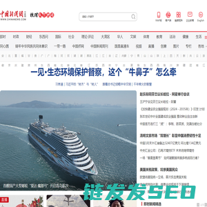 中国新闻网