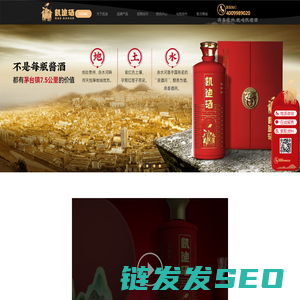 张大佬