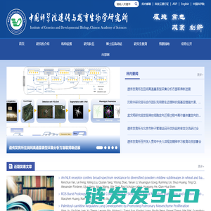 中国科学院遗传与发育生物学研究所