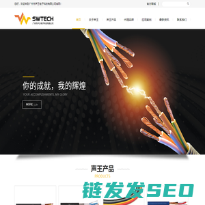 广州市声王电子科技有限公司