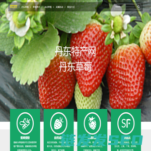 丹东草莓网