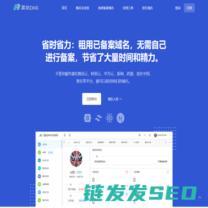 蓝站DNS分发系统