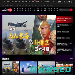 央视网视频