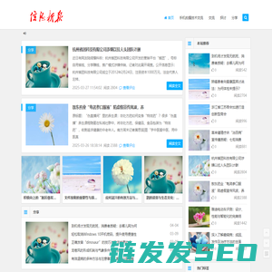 新报观察