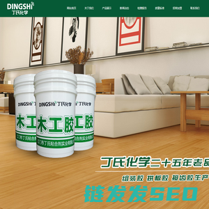 江门市丁氏化学工业有限公司