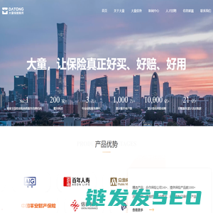 大童保险服务官网
