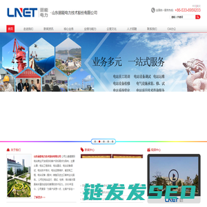 山东丽能电力技术股份有限公司