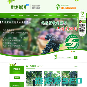 芷江侗族自治县紫秋刺葡萄专业合作社
