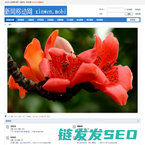 新闻移动网