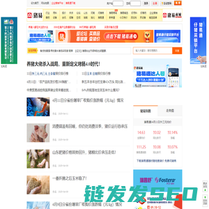 猪易网