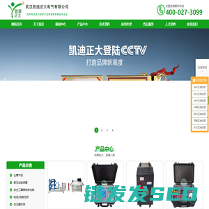武汉凯迪正大