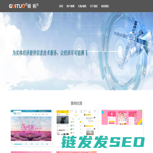 广西硅拓信息技术有限公司
