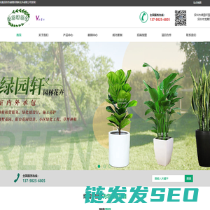深圳花卉租赁
