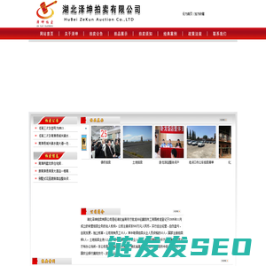 湖北泽坤拍卖有限公司