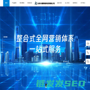 山东兴奥网络科技有限公司