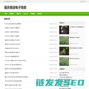 重庆娅迎电子商务有限公司