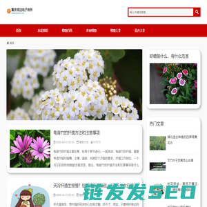 重庆娅迎电子商务