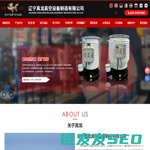 辽宁真龙真空设备制造有限公司