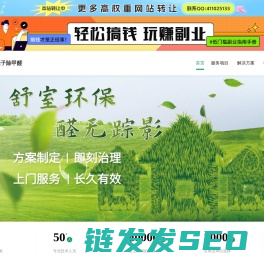 专业除甲醛