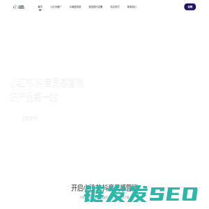 深圳SEO关键词优化排名公司