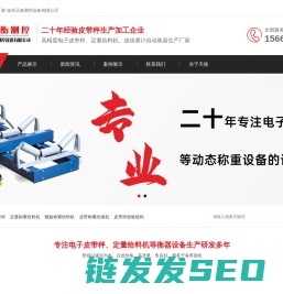 皮带秤