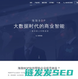 海致科技BDP