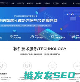 厦门软件开发公司