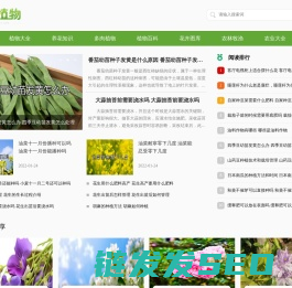 说植物