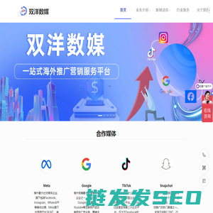 双洋数媒官网