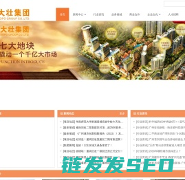 广东大壮集团有限公司