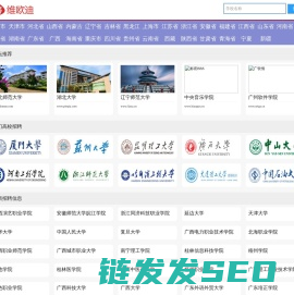 维欧迪