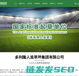 多利隆人造草坪集团有限公司