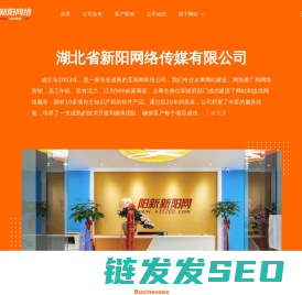湖北省新阳网络传媒有限公司