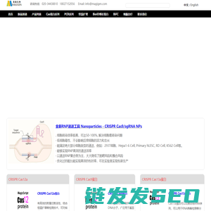 美格生物
